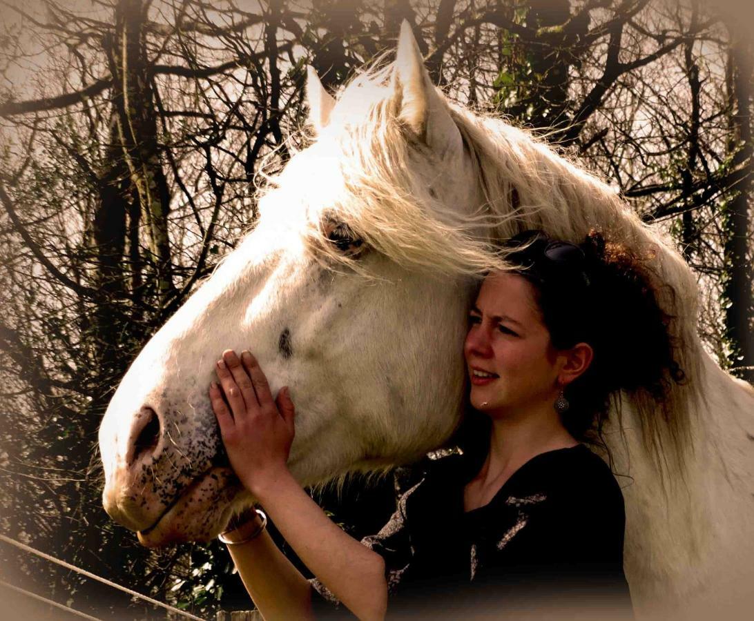 Une Roulotte Et Des Chevaux Treffléan Exterior foto